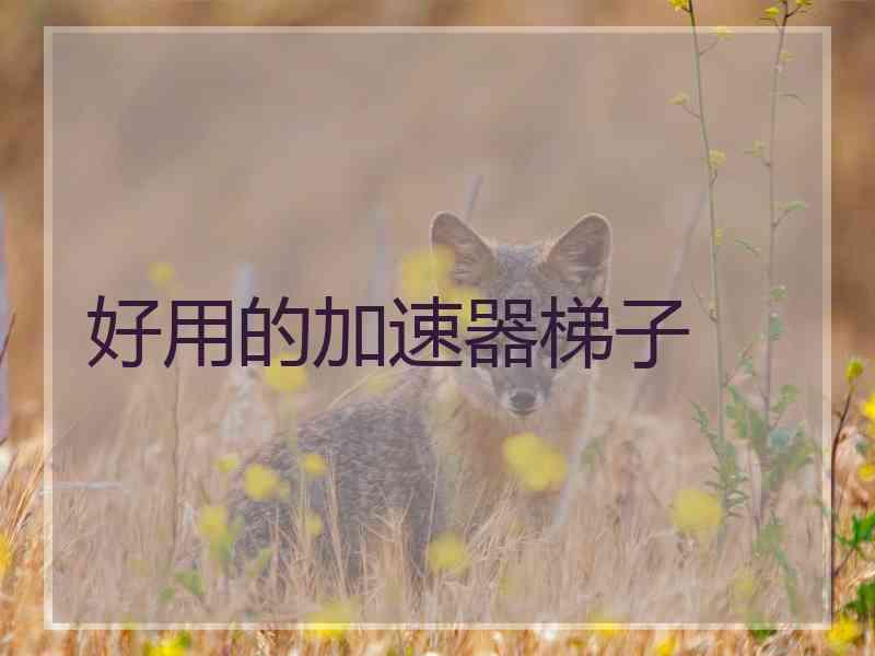 好用的加速器梯子