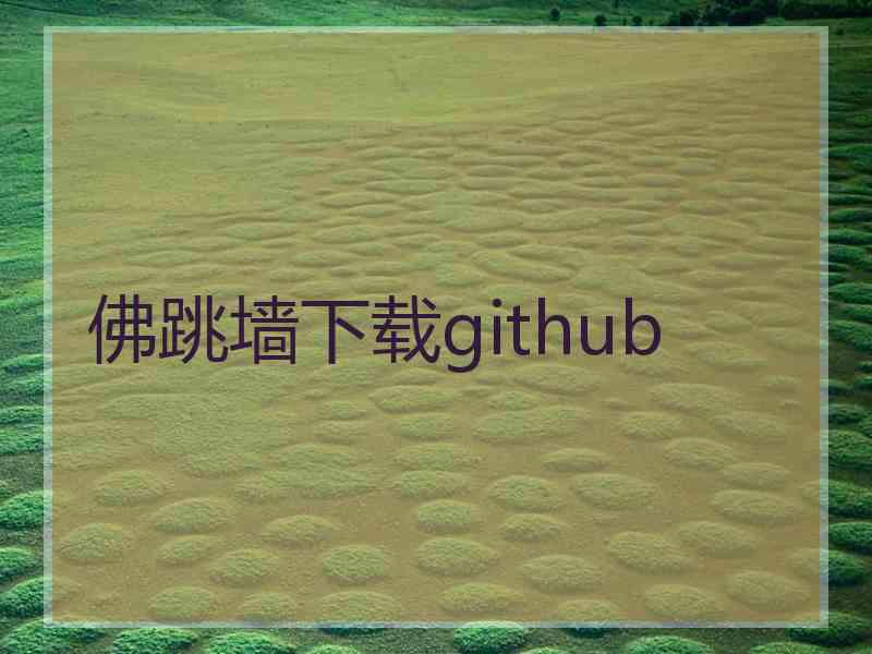 佛跳墙下载github