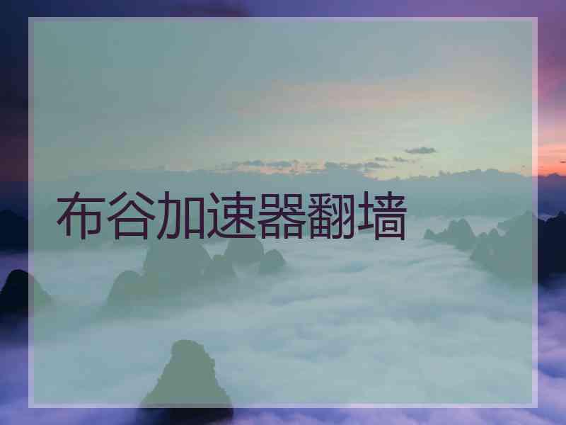 布谷加速器翻墙