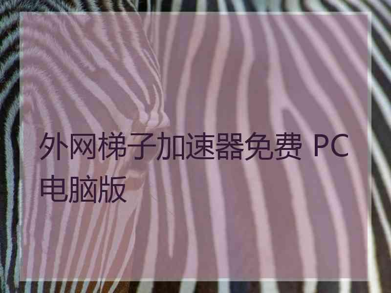 外网梯子加速器免费 PC电脑版