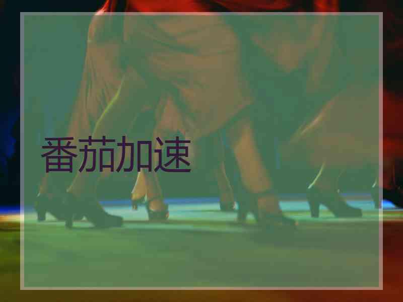 番茄加速