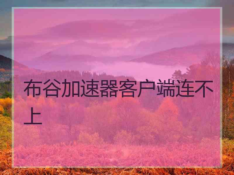 布谷加速器客户端连不上