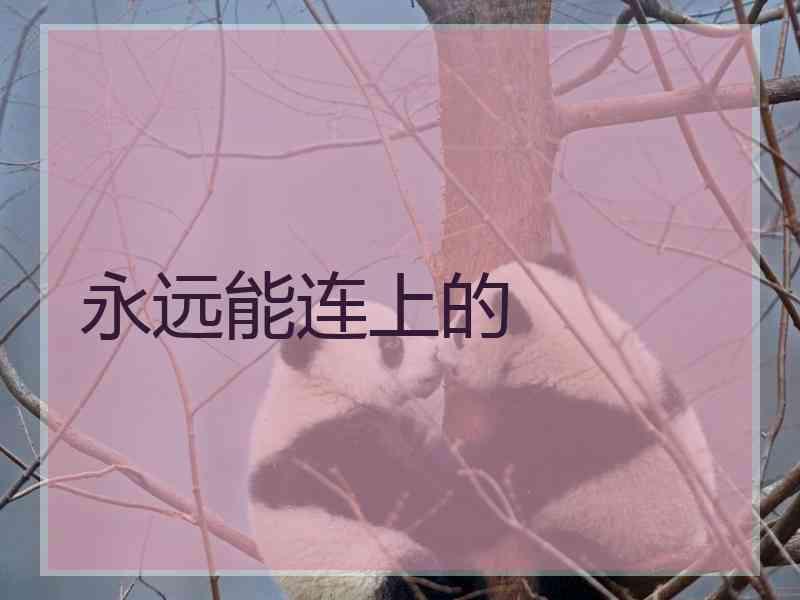 永远能连上的