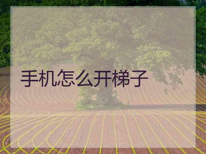 手机怎么开梯子