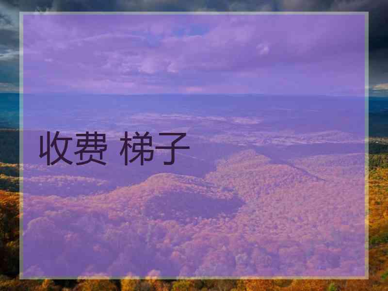 收费 梯子