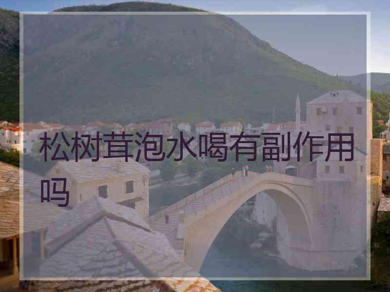 松树茸泡水喝有副作用吗
