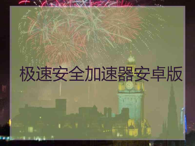 极速安全加速器安卓版