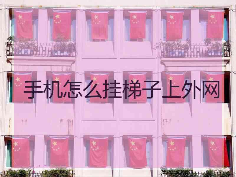 手机怎么挂梯子上外网