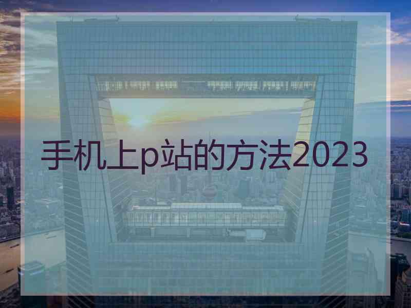 手机上p站的方法2023