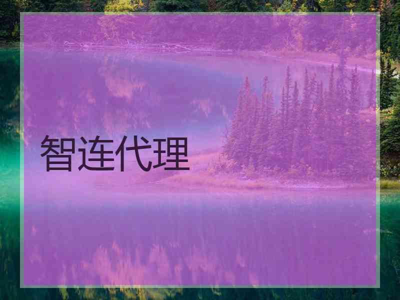 智连代理
