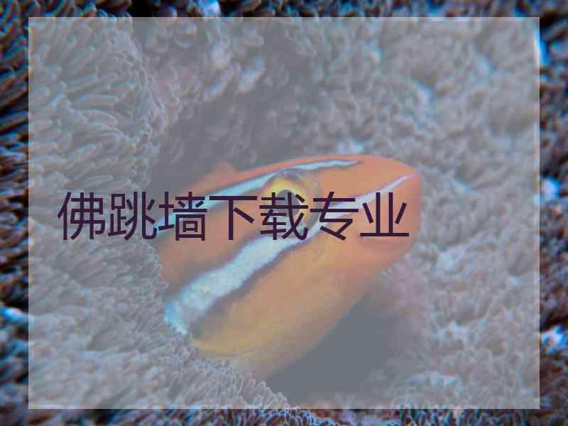佛跳墙下载专业