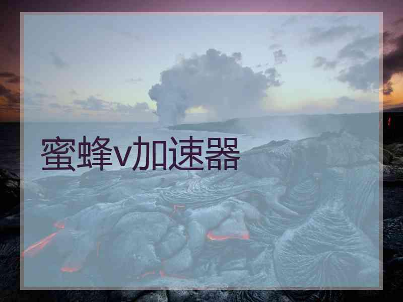 蜜蜂v加速器
