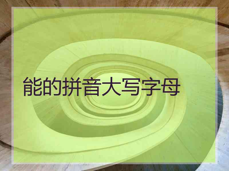 能的拼音大写字母