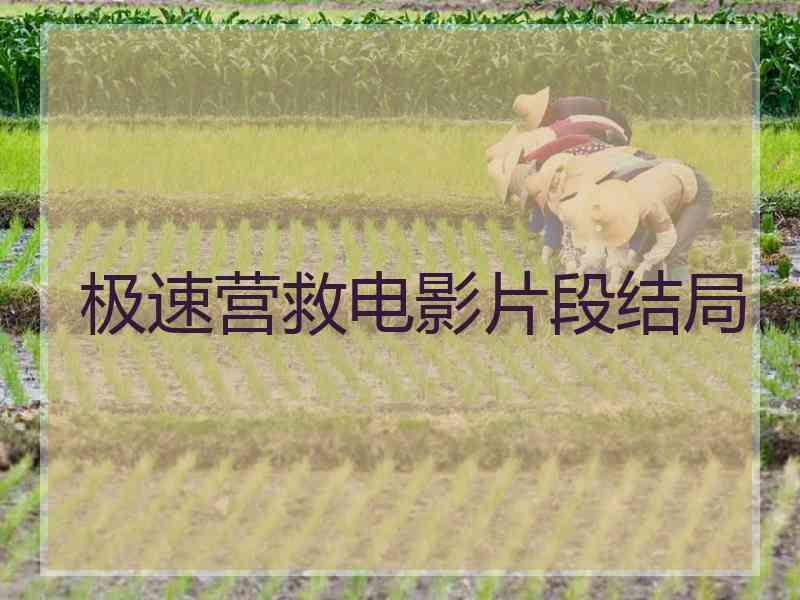 极速营救电影片段结局