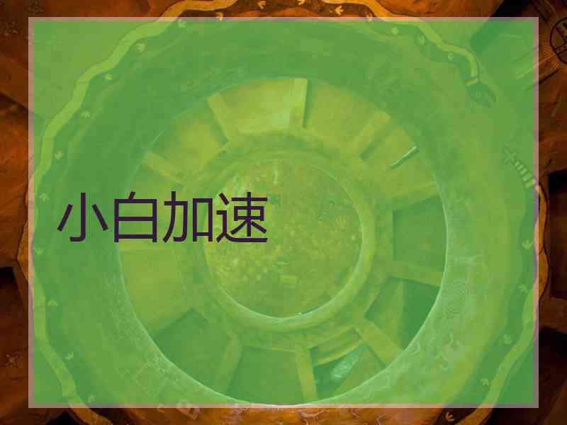 小白加速