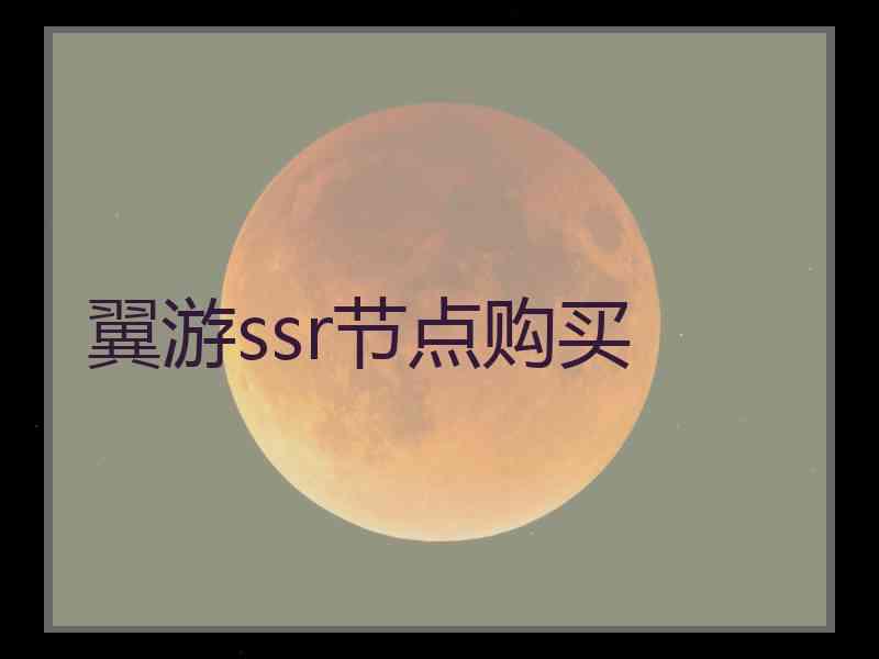 翼游ssr节点购买