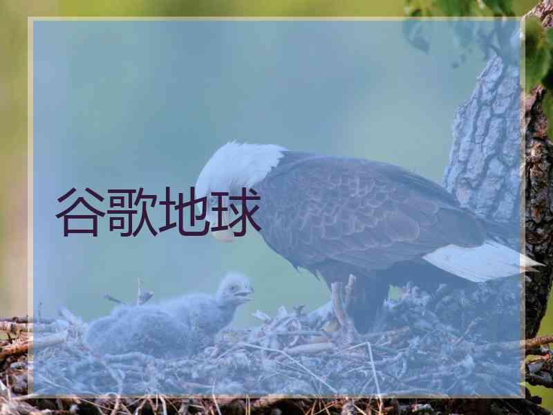 谷歌地球