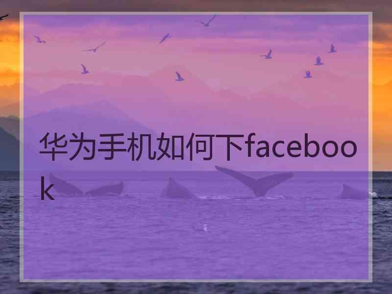 华为手机如何下facebook