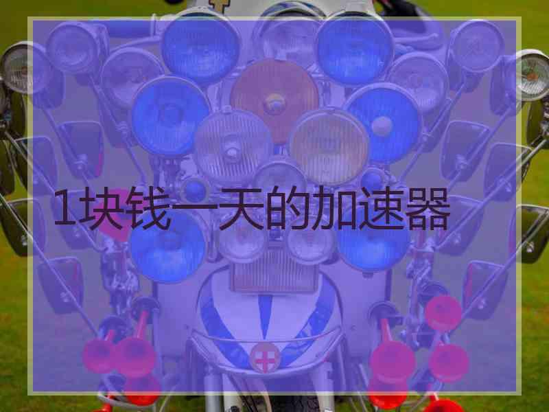 1块钱一天的加速器