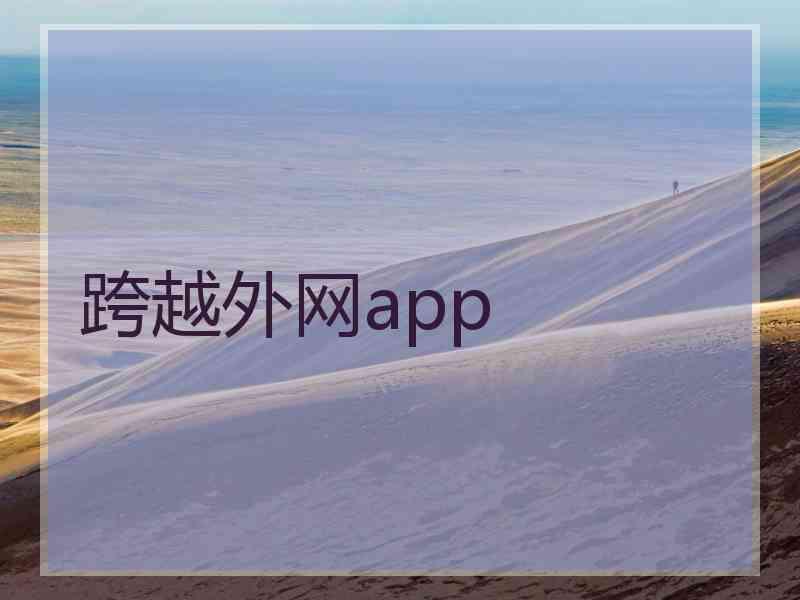 跨越外网app