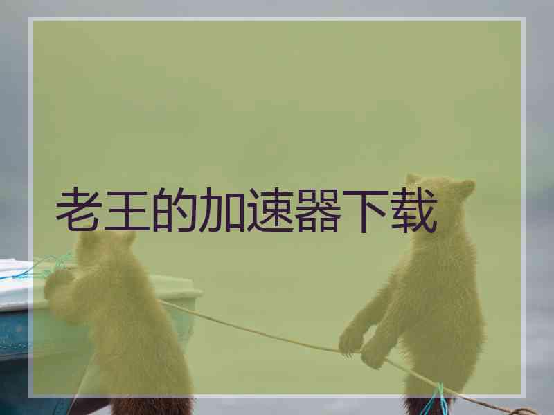 老王的加速器下载