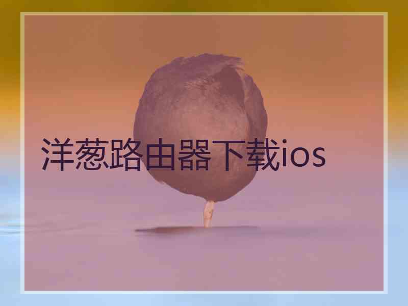 洋葱路由器下载ios