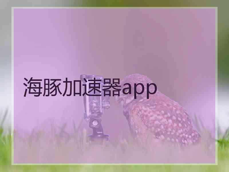 海豚加速器app