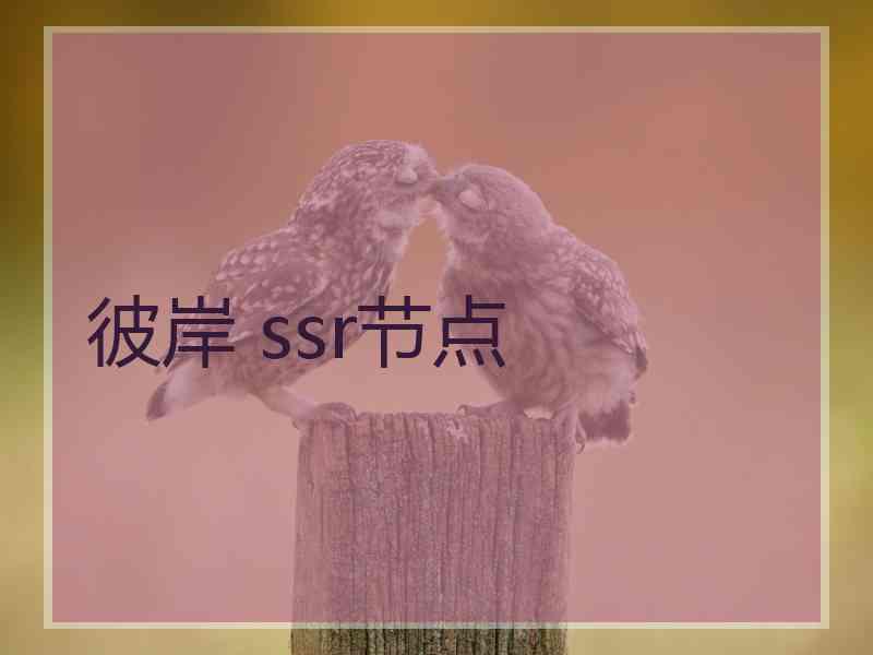 彼岸 ssr节点