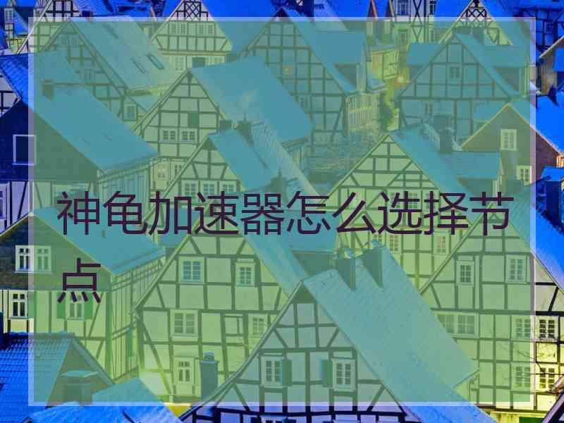 神龟加速器怎么选择节点