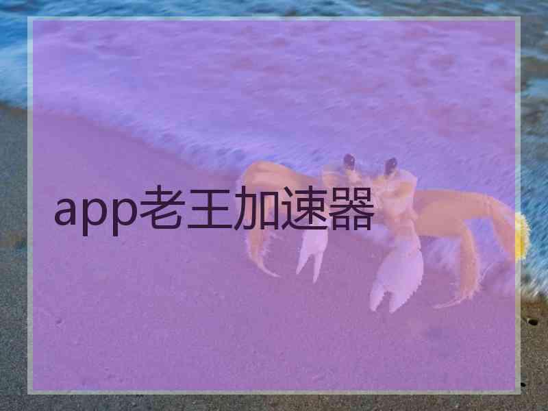 app老王加速器