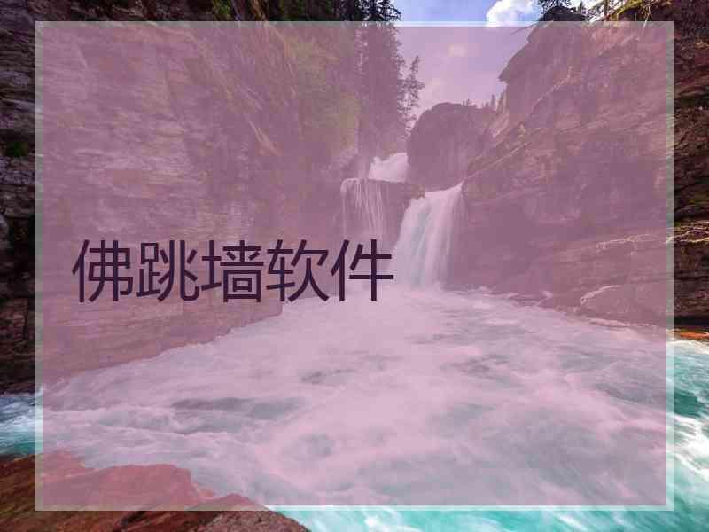 佛跳墙软件