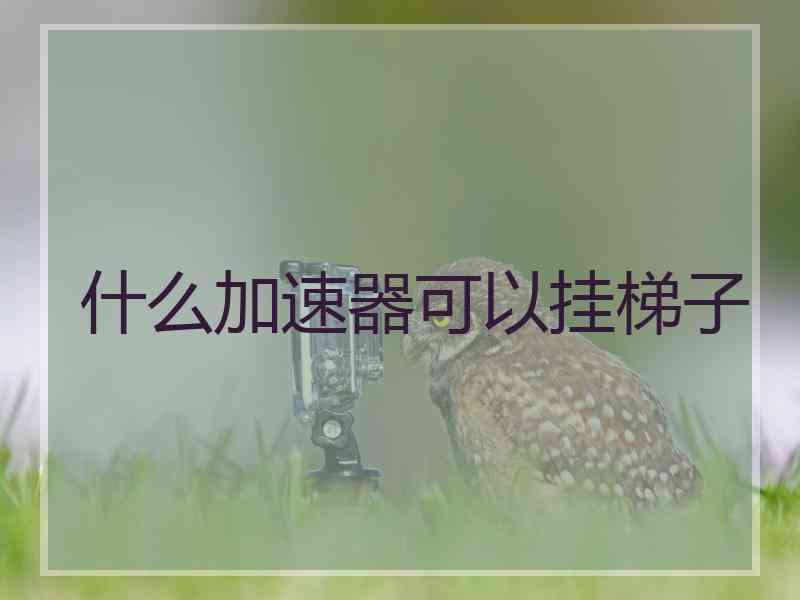 什么加速器可以挂梯子
