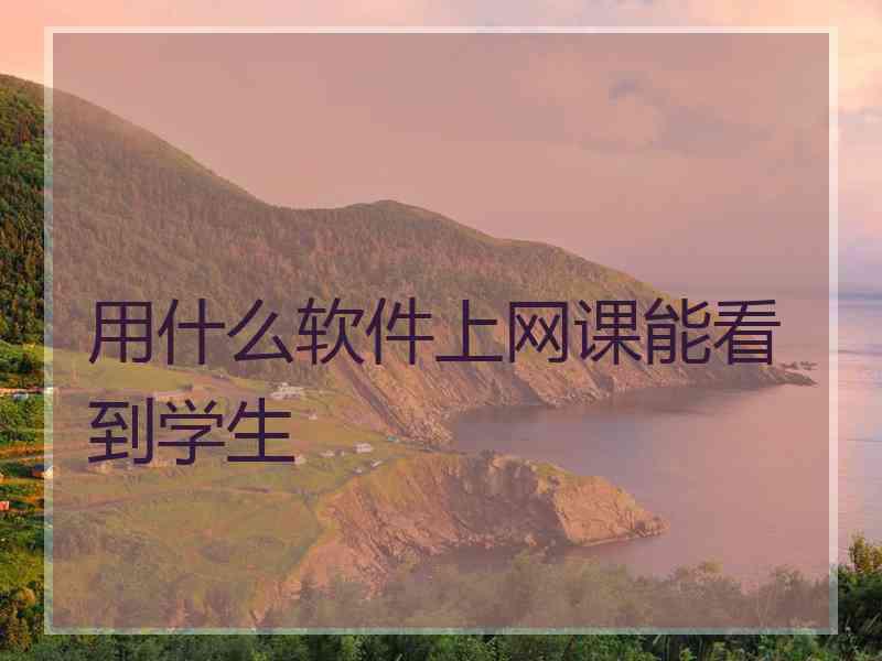 用什么软件上网课能看到学生