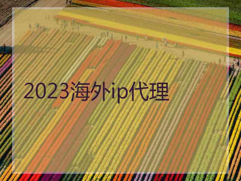 2023海外ip代理