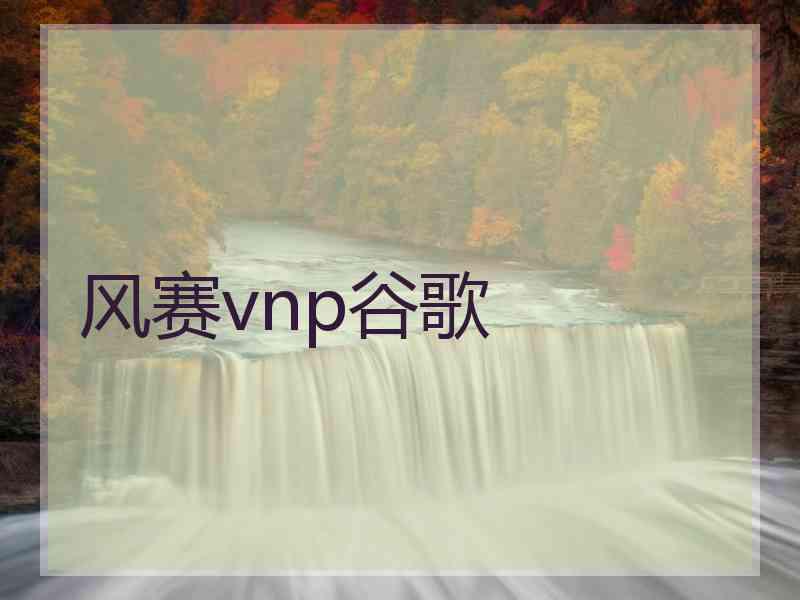 风赛vnp谷歌