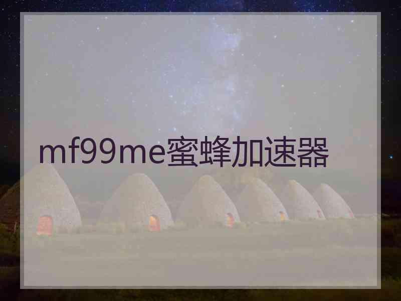 mf99me蜜蜂加速器