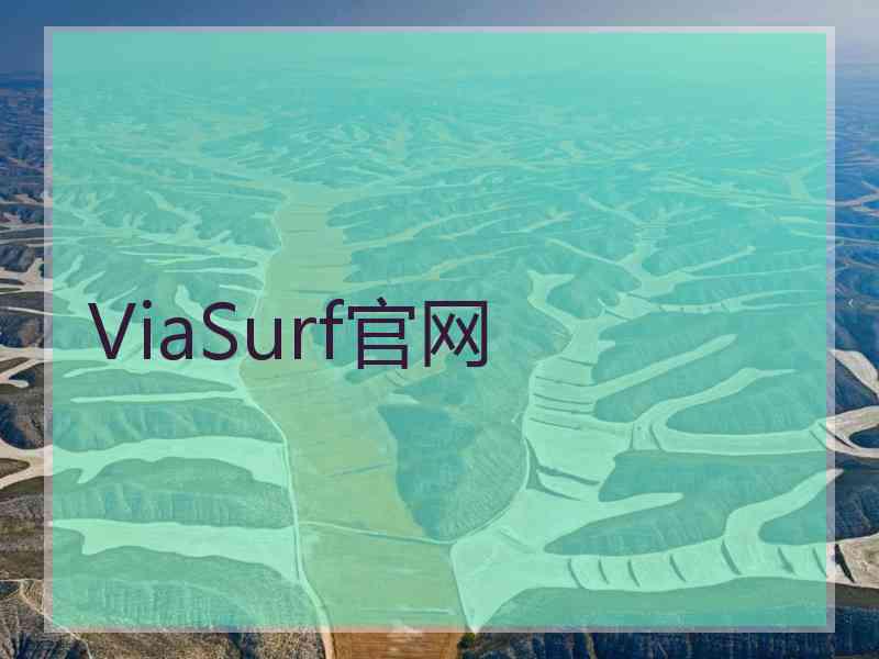 ViaSurf官网