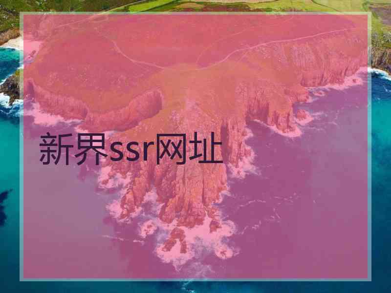 新界ssr网址