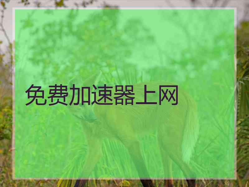 免费加速器上网