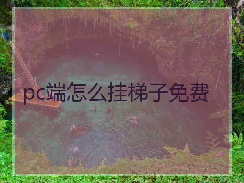 pc端怎么挂梯子免费