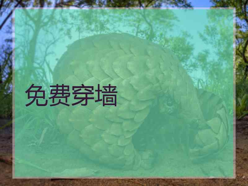 免费穿墙