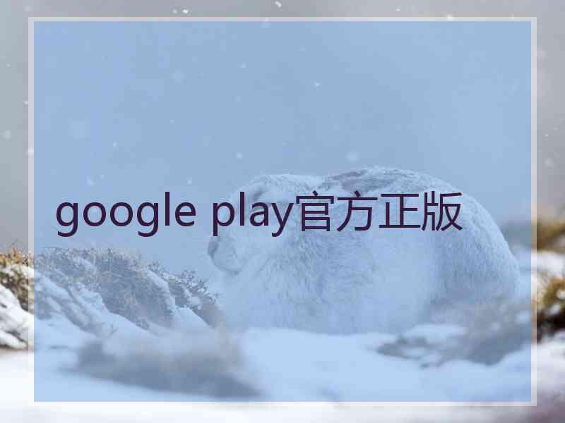 google play官方正版