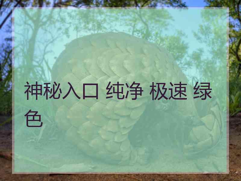 神秘入口 纯净 极速 绿色