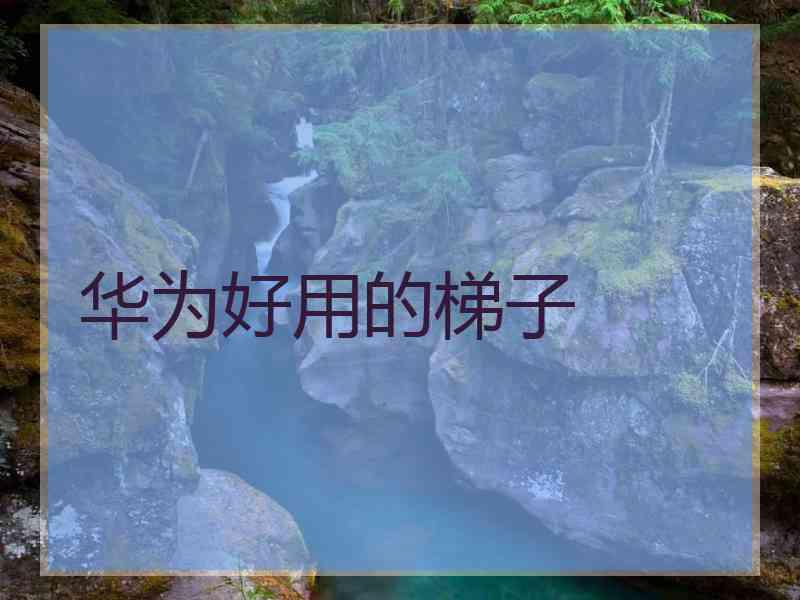 华为好用的梯子