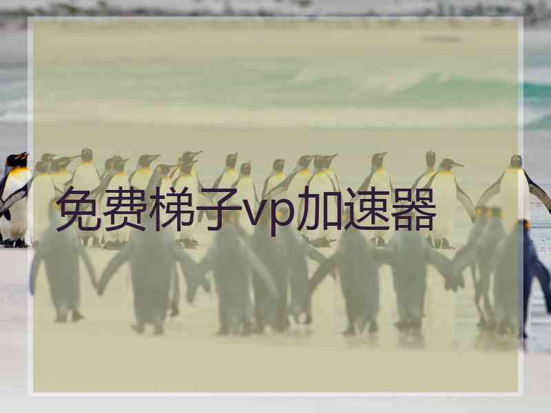 免费梯子vp加速器