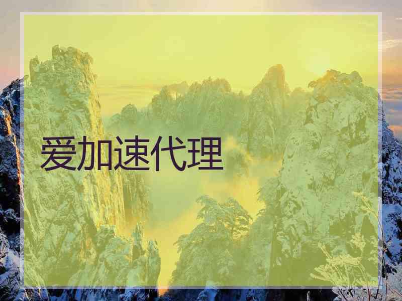 爱加速代理