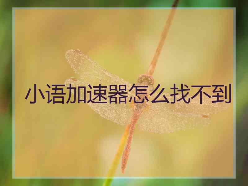 小语加速器怎么找不到