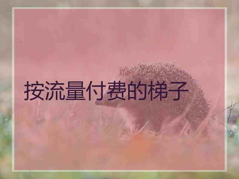 按流量付费的梯子
