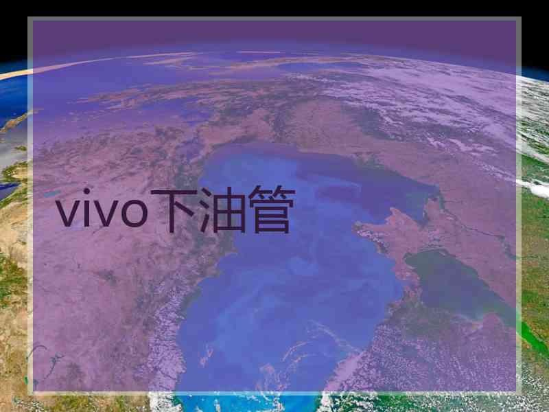 vivo下油管