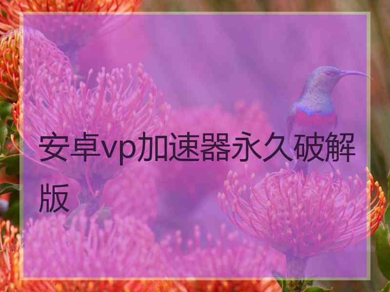 安卓vp加速器永久破解版